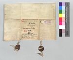 KAE, C.FA.1: Verkauf von Leibeigenen im Kelnhof zu Eschenz an das Kloster Einsiedeln